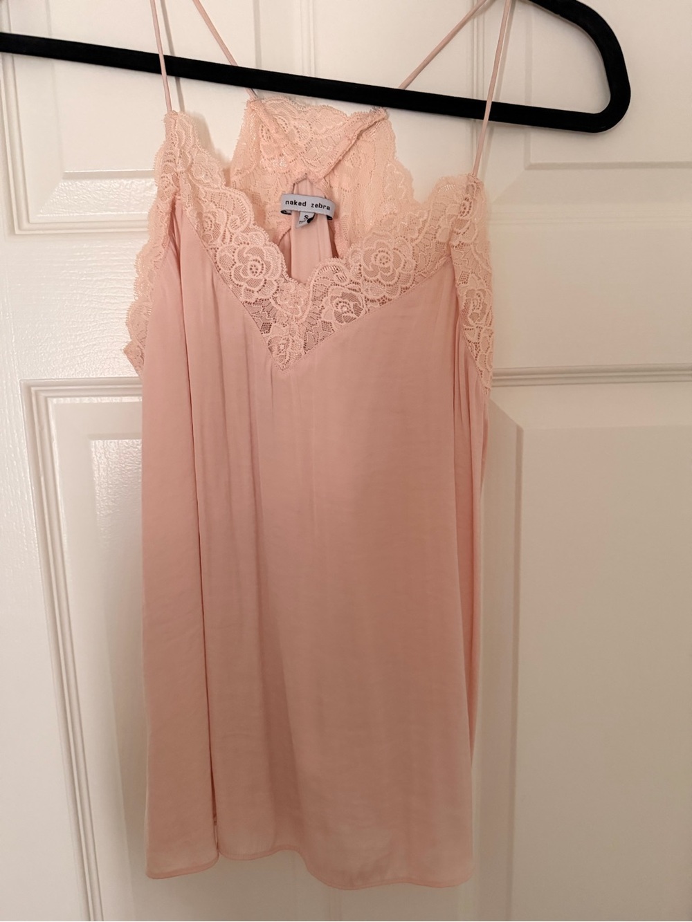 Naked Zebra Pale Pink Lace-Trim Slip Chemise